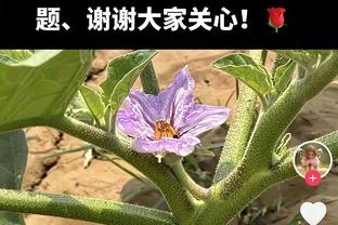 第三节15分4助攻掀起反攻！哈登14中7拿下21分5板9助 仅1次失误